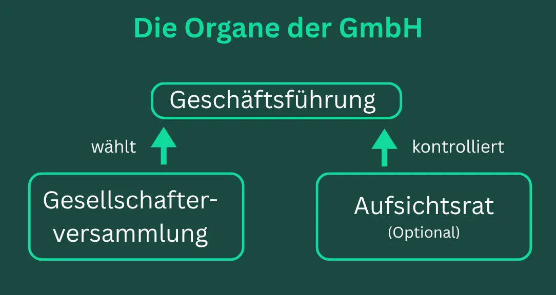 Organe und Struktur der GmbH